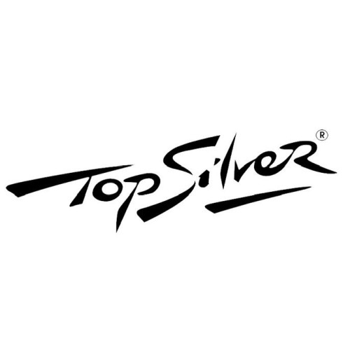 TOPSILVER